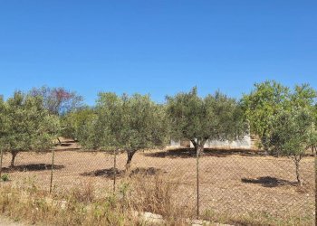 Giardino - Terreno agricolo Noto - foto 4