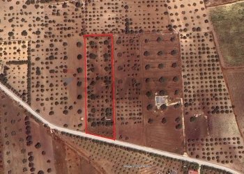 Posizione della mappa - Terreno agricolo Noto - foto 10