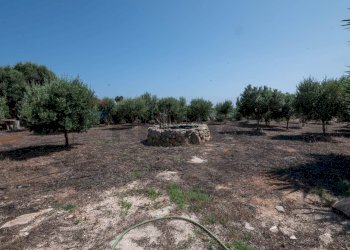 Giardino - Villa contrada carrubbella, Portopalo di Capo Passero - foto 48