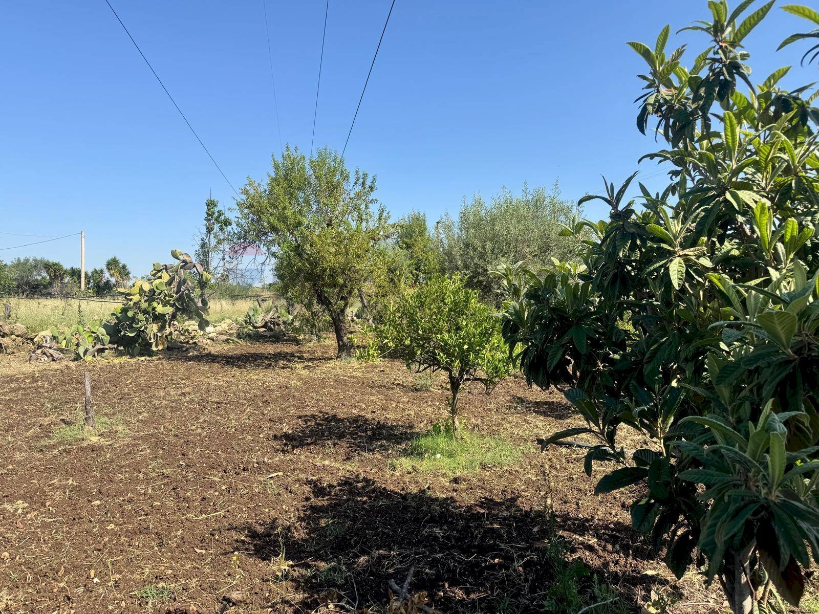 Terreno - Villa Contrada San Giuliano
 
snc, Melilli - foto 3