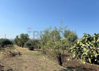 Terreno - Villa Contrada San Giuliano
 
snc, Melilli - foto 6