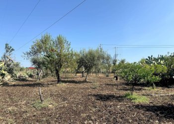 Terreno - Villa Contrada San Giuliano
 
snc, Melilli - foto 5