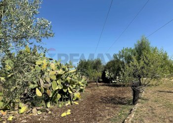 Terreno - Villa Contrada San Giuliano
 
snc, Melilli - foto 7