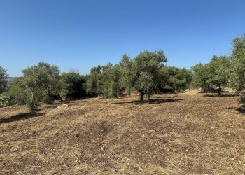 Terreno - Villa Contrada San Giuliano
 
snc, Melilli - foto 9