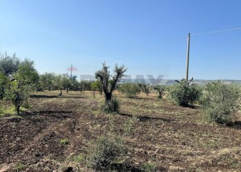 Terreno - Villa Contrada San Giuliano
 
snc, Melilli - foto 11