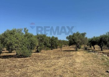 Terreno - Villa Contrada San Giuliano
 
snc, Melilli - foto 16