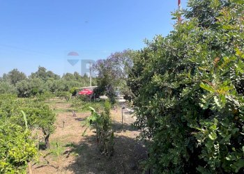 Giardino - Villa AGNONE BAGNI, Augusta - foto 4