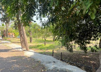 Giardino - Villa AGNONE BAGNI, Augusta - foto 7