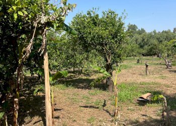 Giardino - Villa AGNONE BAGNI, Augusta - foto 8