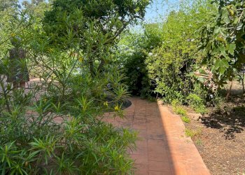 Giardino - Villa AGNONE BAGNI, Augusta - foto 9