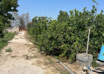 Giardino - Villa AGNONE BAGNI, Augusta - foto 13