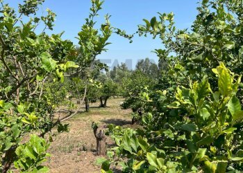 Giardino - Villa AGNONE BAGNI, Augusta - foto 15
