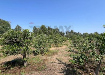 Giardino - Villa AGNONE BAGNI, Augusta - foto 16