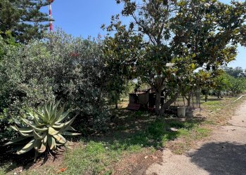 Giardino - Villa AGNONE BAGNI, Augusta - foto 26