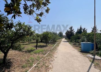 Giardino - Villa AGNONE BAGNI, Augusta - foto 27