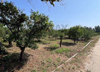 Giardino - Villa AGNONE BAGNI, Augusta - foto 28