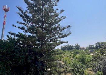 Giardino - Villa AGNONE BAGNI, Augusta - foto 60