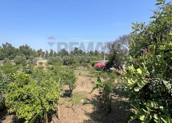 Giardino - Villa AGNONE BAGNI, Augusta - foto 62