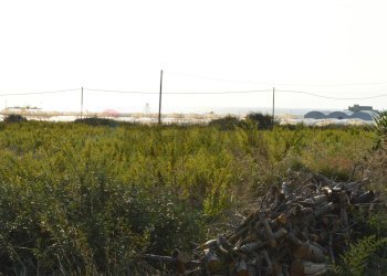 Giardino - Agricultural land contrada Puntorio
snc, Pachino - photo 11