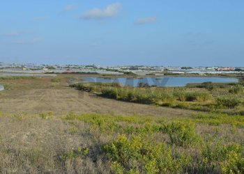 Vista dell\'acqua - Agricultural land contrada Puntorio
snc, Pachino - photo 14