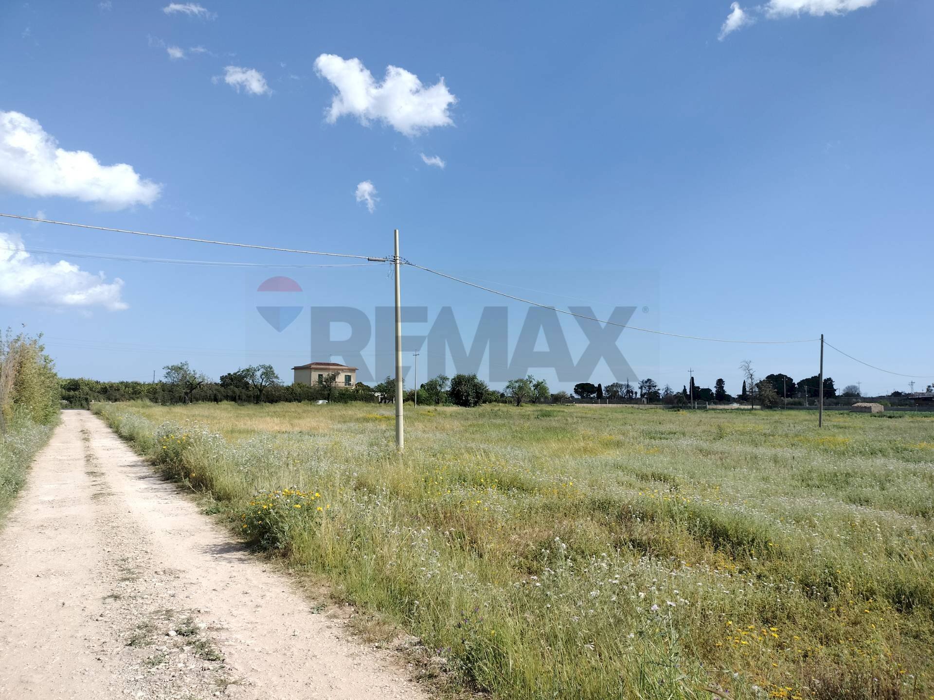 Giardino - Terreno agricolo VIA ELORINA
 
174, Siracusa - foto 2