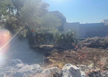 Giardino - Terreno edificabile Corso Italia, Solarino - foto 4