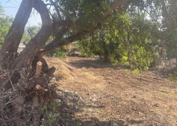 Giardino - Terreno edificabile Corso Italia, Solarino - foto 8