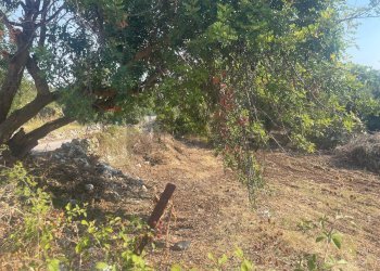 Giardino - Terreno edificabile Corso Italia, Solarino - foto 11