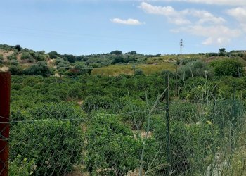 Vista delle montagne - Azienda agricola Contrada Busulmone, Noto - foto 8
