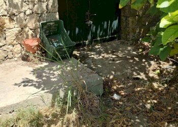 Giardino - Azienda agricola Contrada Busulmone, Noto - foto 16