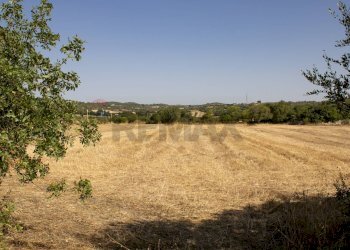 Vista delle montagne - Terreno agricolo contrada Gelso Anellù, Noto - foto 4