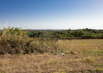 Vista delle montagne - Terreno agricolo contrada Gelso Anellù, Noto - foto 5