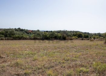 Giardino - Terreno agricolo contrada Gelso Anellù, Noto - foto 6