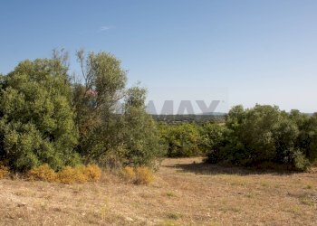 Giardino - Terreno agricolo contrada Gelso Anellù, Noto - foto 8