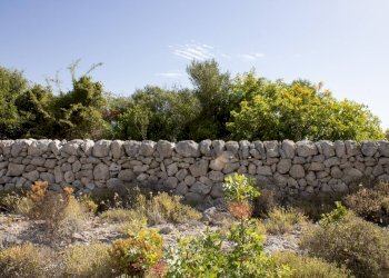 Giardino - Terreno agricolo contrada Gelso Anellù, Noto - foto 12
