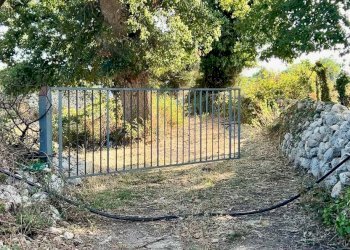 Giardino - Rustico Santa Lucia di Mendola, Noto - foto 9