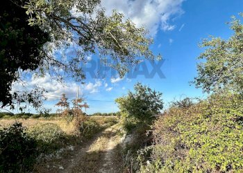 Non correlato - Rustico Santa Lucia di Mendola, Noto - foto 10