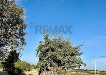 Non correlato - Rustico Santa Lucia di Mendola, Noto - foto 11