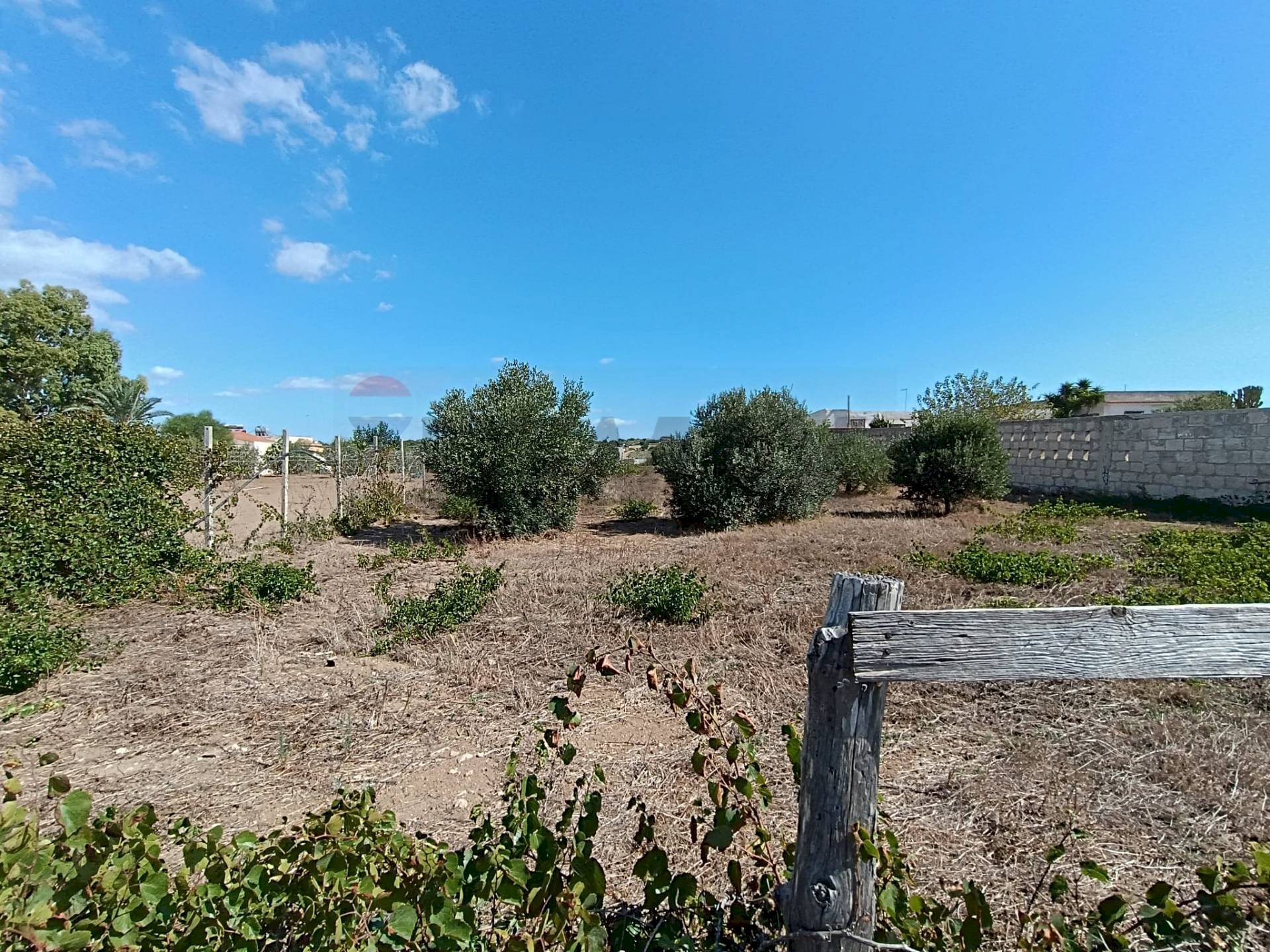 Giardino - Terreno agricolo Contrada Ciappa Viale Stella Maris, Pachino - foto 1