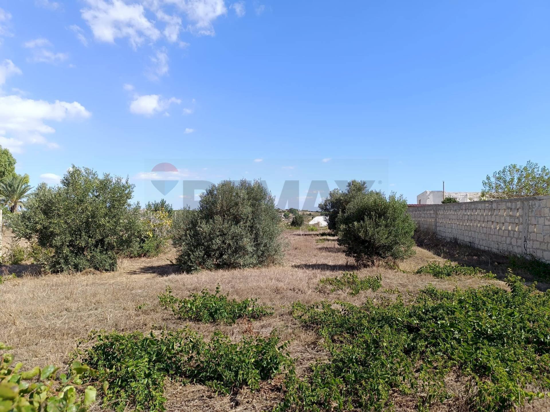 Giardino - Terreno agricolo Contrada Ciappa Viale Stella Maris, Pachino - foto 2