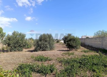 Giardino - Agricultural land Contrada Ciappa Viale Stella Maris, Pachino - photo 2