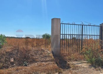 Casa all\'aperto - Terreno edificabile Contrada Commaldo
 
snc, Rosolini - foto 5