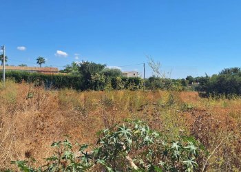 Giardino - Terreno edificabile Contrada Commaldo
 
snc, Rosolini - foto 9