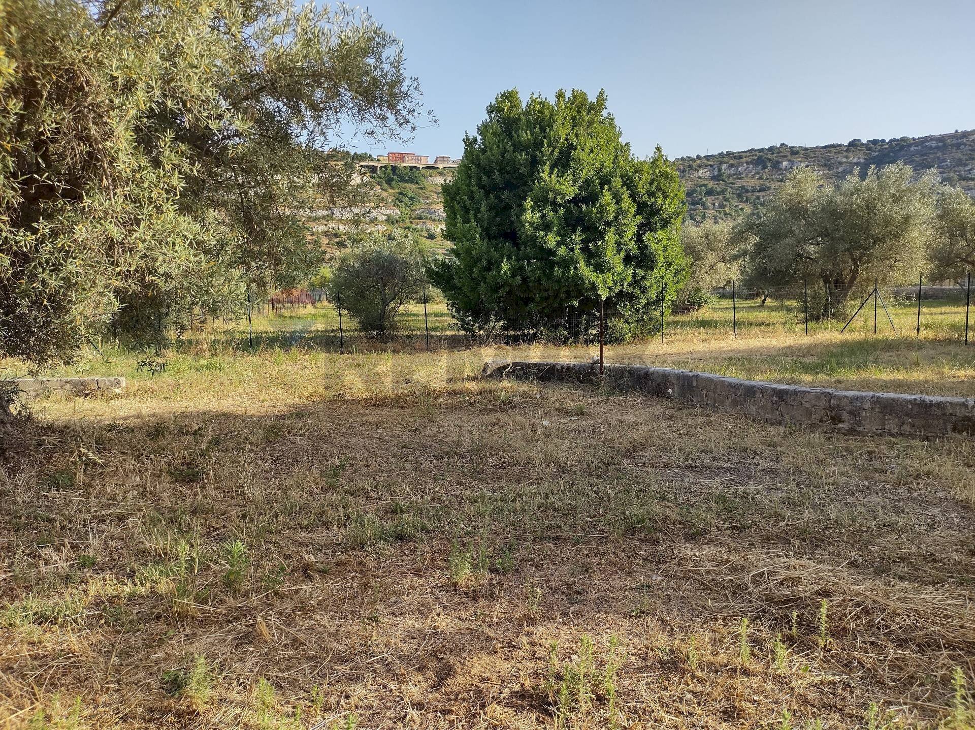 Giardino - Terreno agricolo contrada Pianazzo, Melilli - foto 1