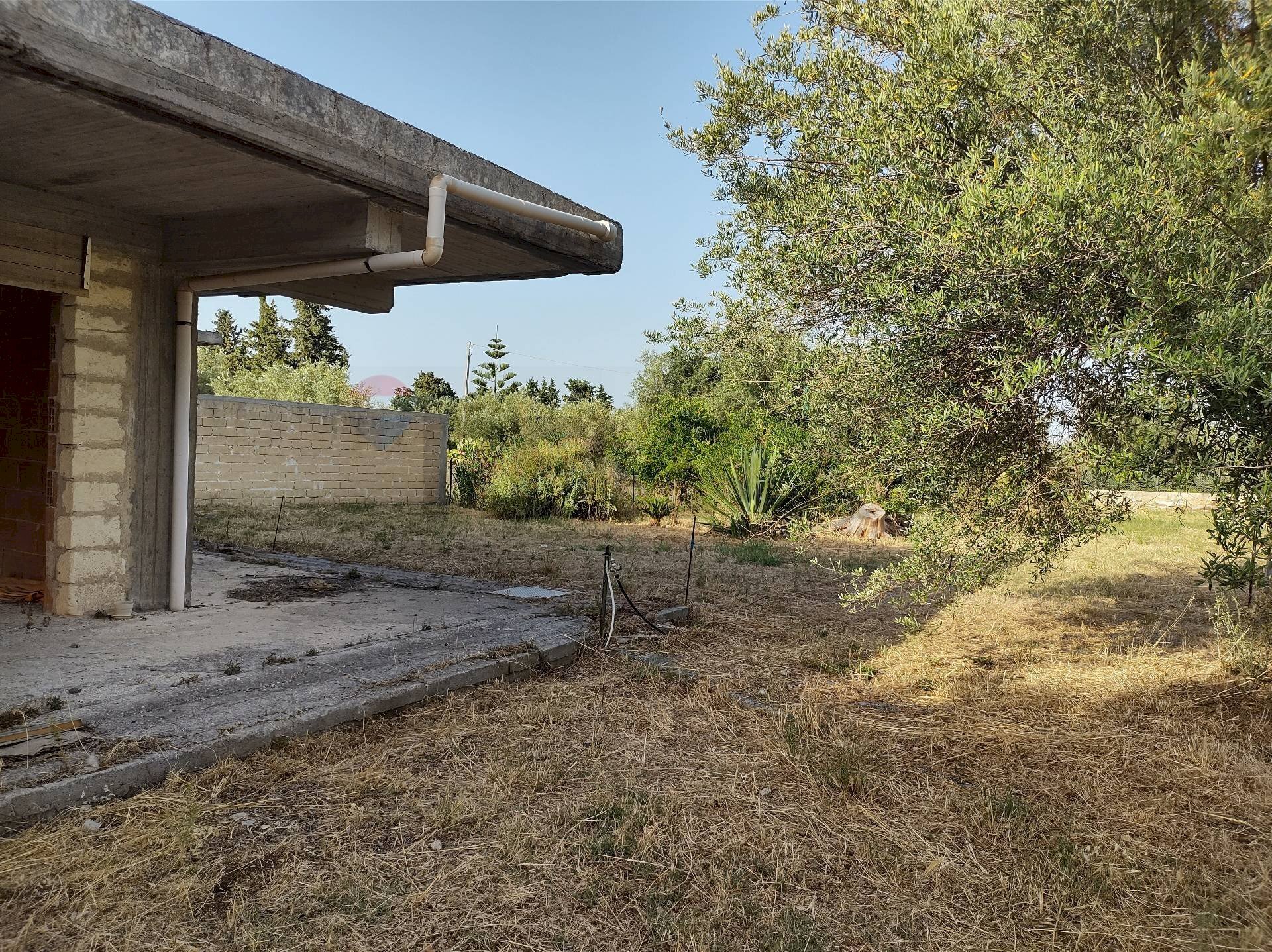 Giardino - Terreno agricolo contrada Pianazzo, Melilli - foto 3