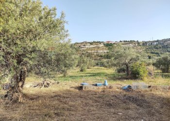 Giardino - Terreno agricolo contrada Pianazzo, Melilli - foto 7