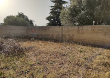 Giardino - Terreno agricolo contrada Pianazzo, Melilli - foto 10