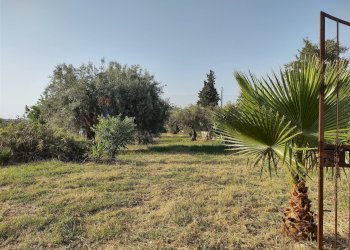 Giardino - Terreno agricolo contrada Pianazzo, Melilli - foto 12