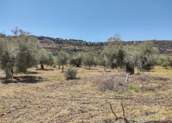 Vista delle montagne - Terreno agricolo contrada Pianazzo, Melilli - foto 17
