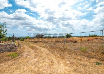 Giardino - Villa Contrada Masicugno, Rosolini - foto 34